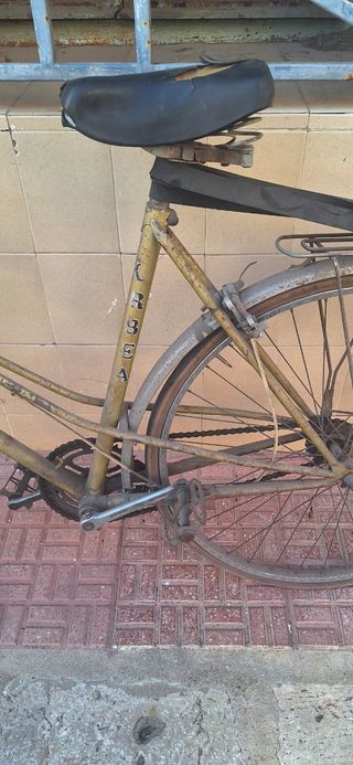 ORBEA LAIDA