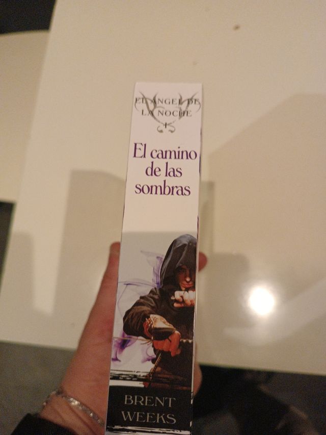 El Camino de las Sombras, Brent Weeks