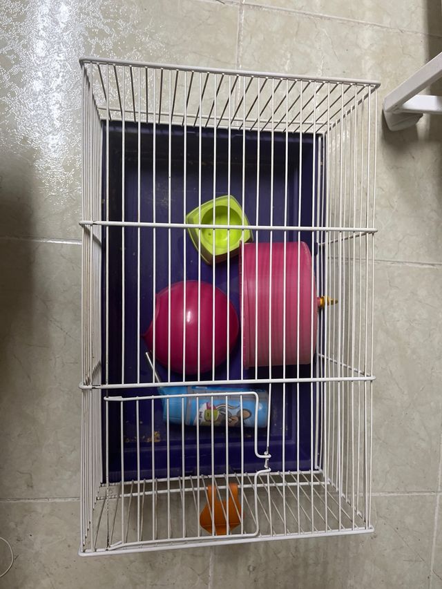 Jaula hamster con accesorios 