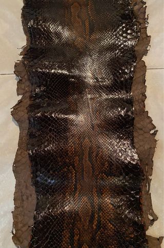 Autentica e inmensa piel de serpiente .