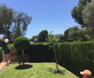 Limpieza de parcelas
