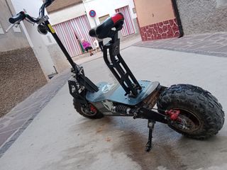 Ptinete,electrico