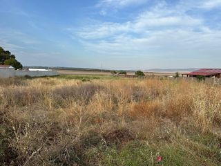 PARCELA RUSTICA BARBATE