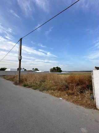 PARCELA RUSTICA BARBATE