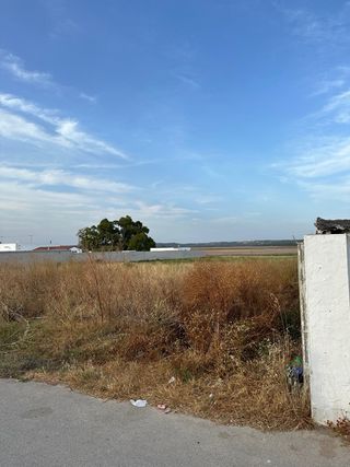 PARCELA RUSTICA BARBATE