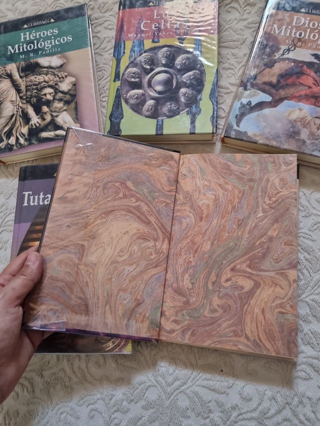 Lote libros historia