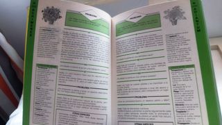 Plantas sanas : Problemas y soluciones de A. Bickn