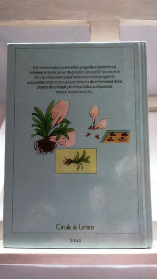 Plantas sanas : Problemas y soluciones de A. Bickn