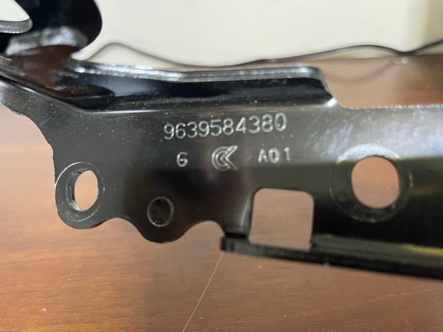 Bisagras capo citroen c2 9639584280