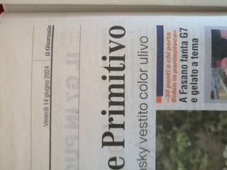 "Il giornale" del 14.6 24