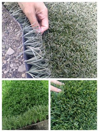 Césped artificial reciclado ♻️
