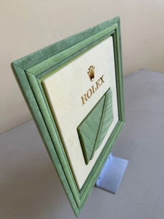 Expositor Rolex verde