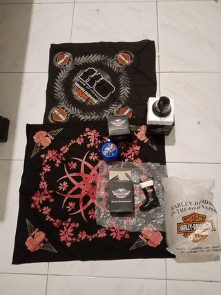 Gadgets Harley Davidson 