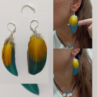 PENDIENTES PLUMA GUACAMAYO