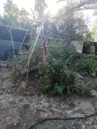 Terreno en venta