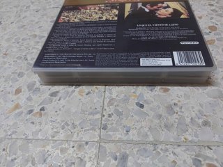 VHS Doble Lo que el viento se llevó (1939)