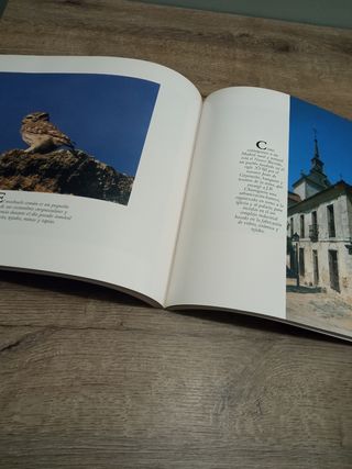 La naturaleza en Madrid