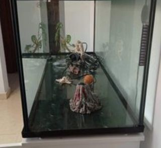 Acuario 240 L + mueble  + accesorios 