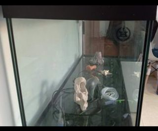 Acuario 240 L + mueble  + accesorios 
