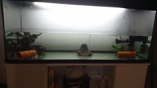 Acuario 240 L + mueble  + accesorios 
