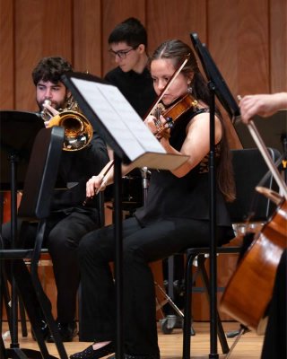 Clases de viola, violín, piano y solfeo/