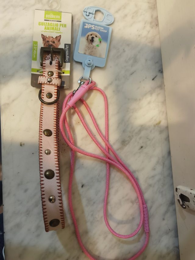 Collare e guinzaglio