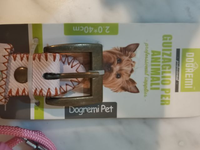 Collare e guinzaglio