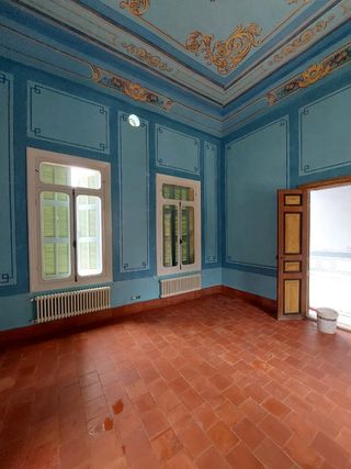 Pintor y electricista profesional