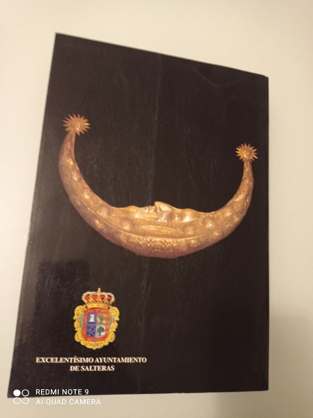 Libro LA VIRGEN DE LA OLIVA DE SALTERAS 