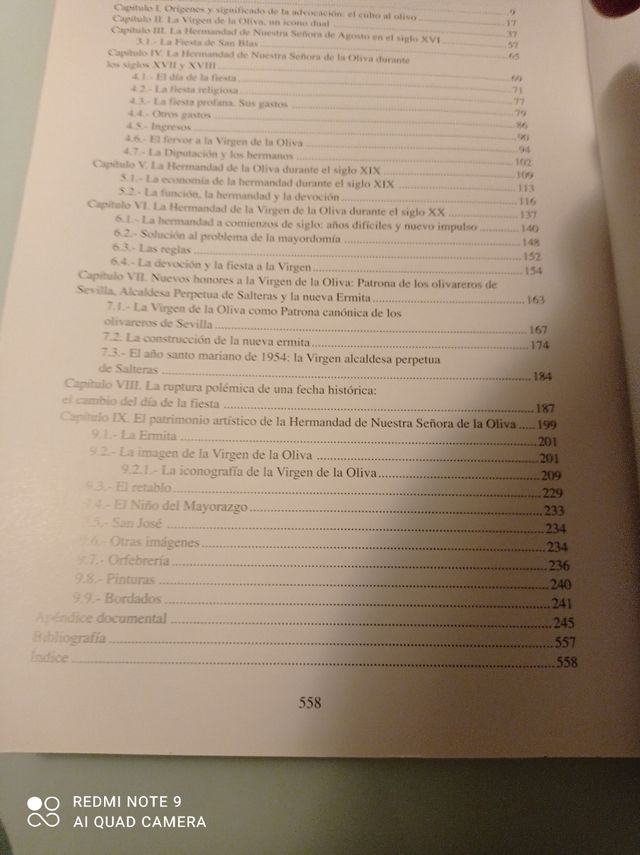 Libro LA VIRGEN DE LA OLIVA DE SALTERAS 