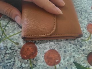 Cartera Salvador Bachiller