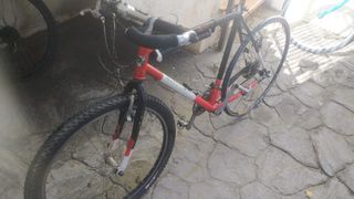Bicicleta adulto