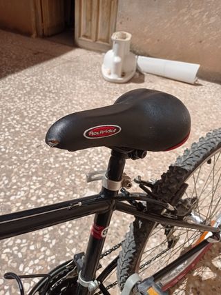 Bicicleta de montaña infantil