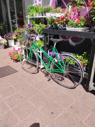 Bici Orbea