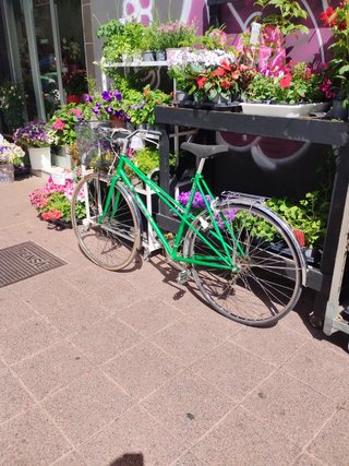Bici Orbea