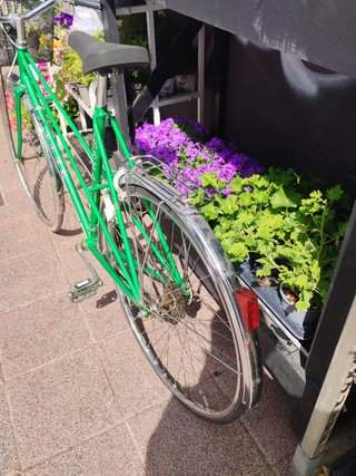 Bici Orbea