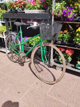 Bici Orbea