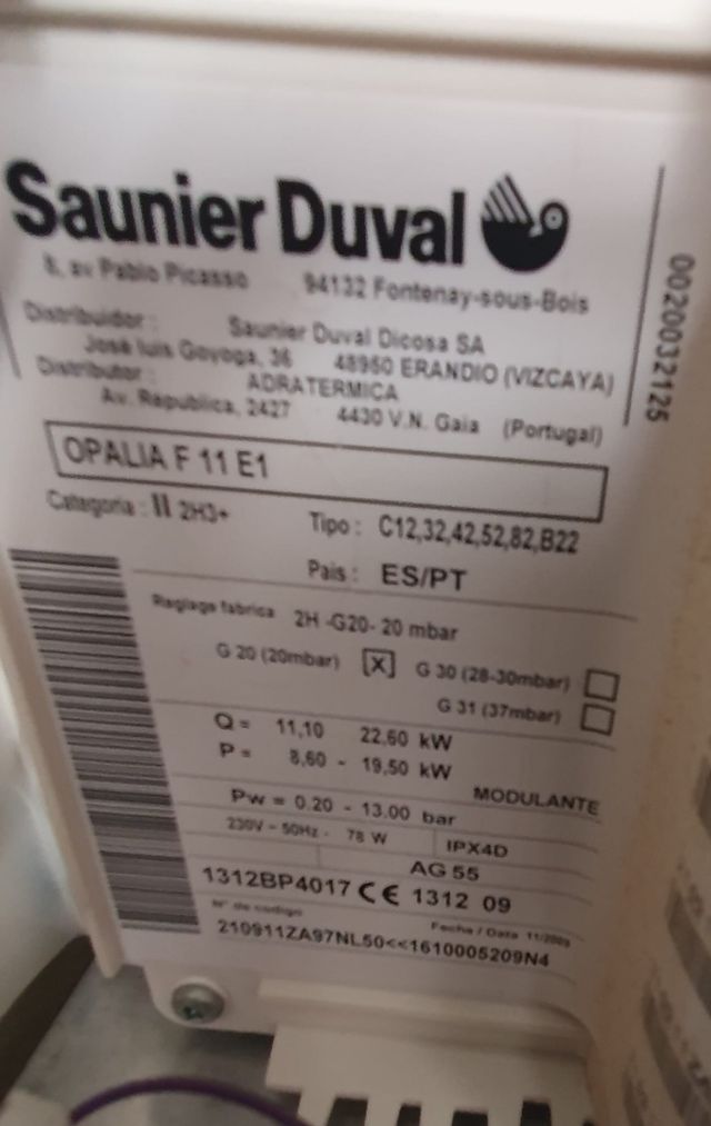 Calentador de gas natural Saunier Duval