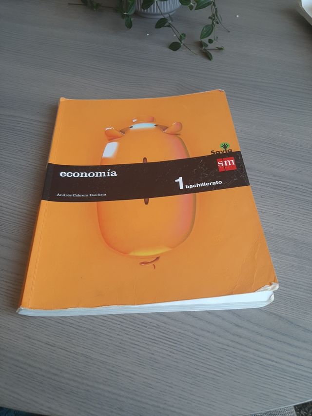 Libro economía 1 bachillerato 