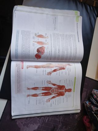 Libro Biología  y Geología.  3° Eso.