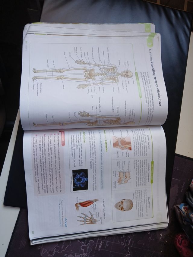 Libro Biología  y Geología.  3° Eso.