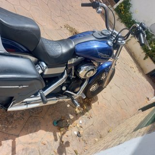 Harley davidson street bob