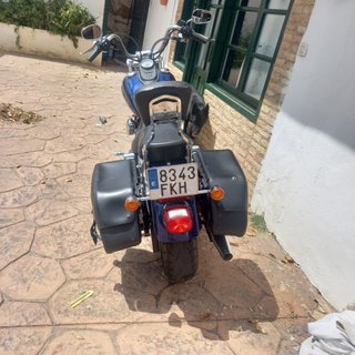 Harley davidson street bob