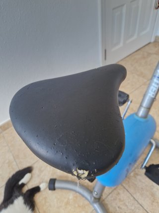 Bicicleta estática