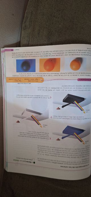 Libro educación plástica. Sm. Savia