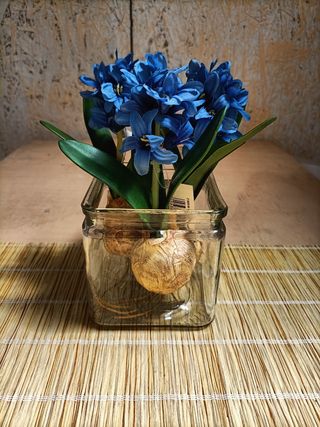 Vasi Vetro Design Vari Modelli €3-€7