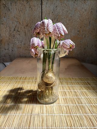 Vasi Vetro Design Vari Modelli €3-€7