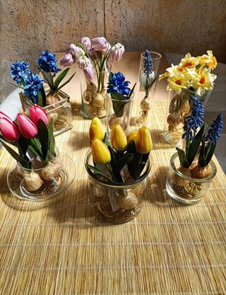 Vasi Vetro Design Vari Modelli €3-€7