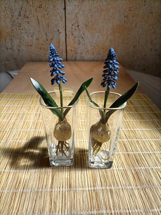 Vasi Vetro Design Vari Modelli €3-€7