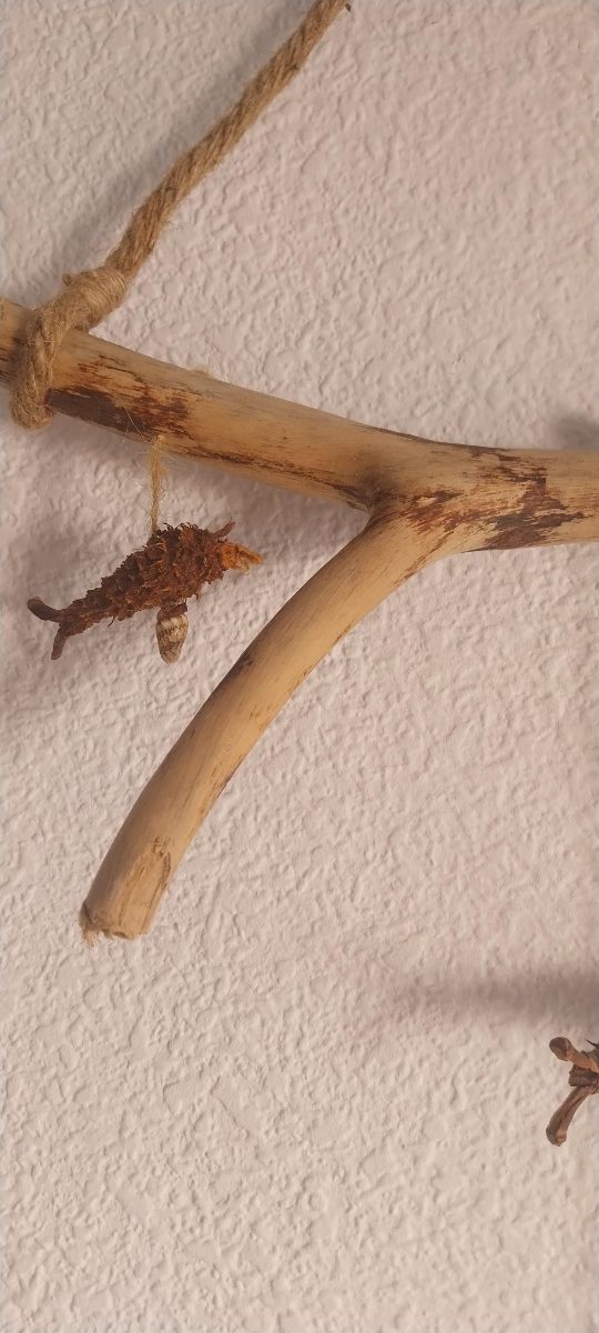 Atrapasueños ibicenco